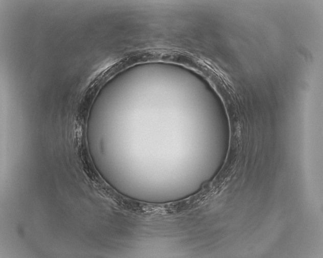 X0000115811302200912041558