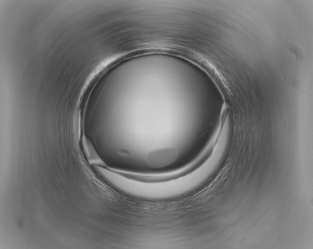 X0000115811323200912041558