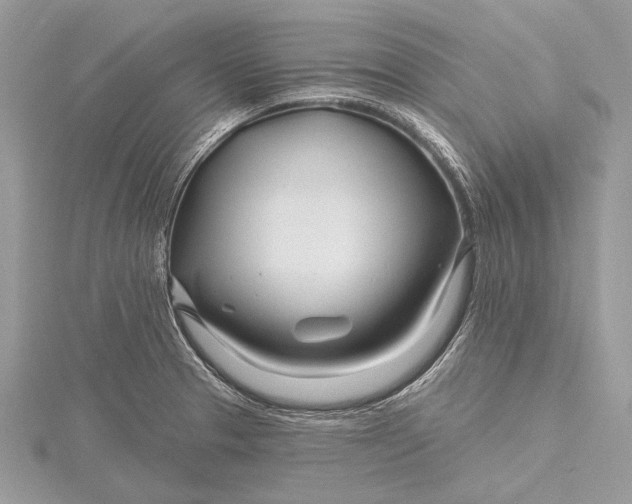 X0000115811329200912041558