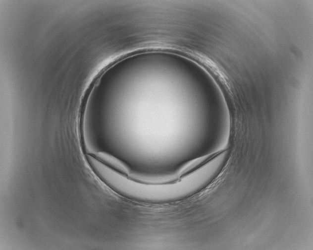 X0000115811334200912041558