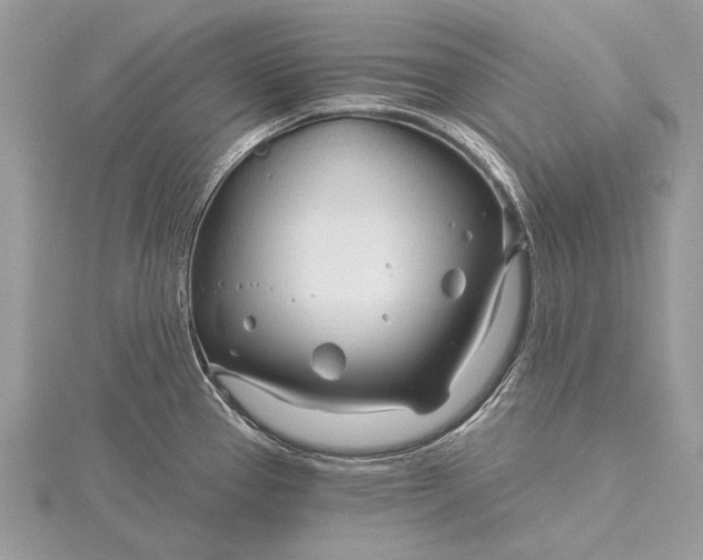 X0000115811337200912041558