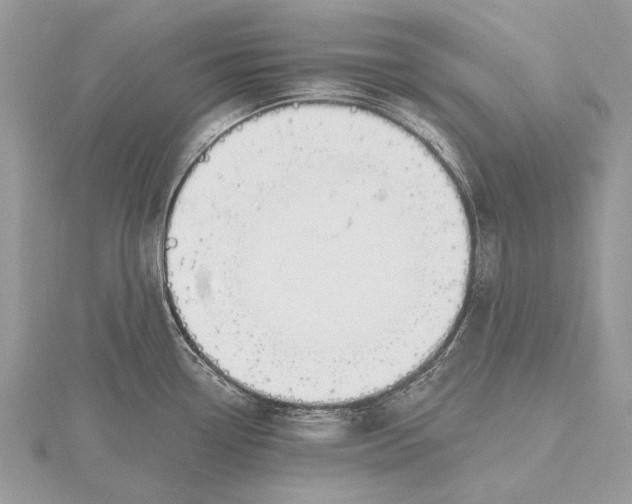 X0000115811338200912041558