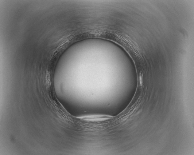 X0000115811347200912041558