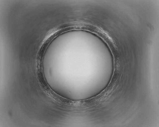 X0000115811352200912041558