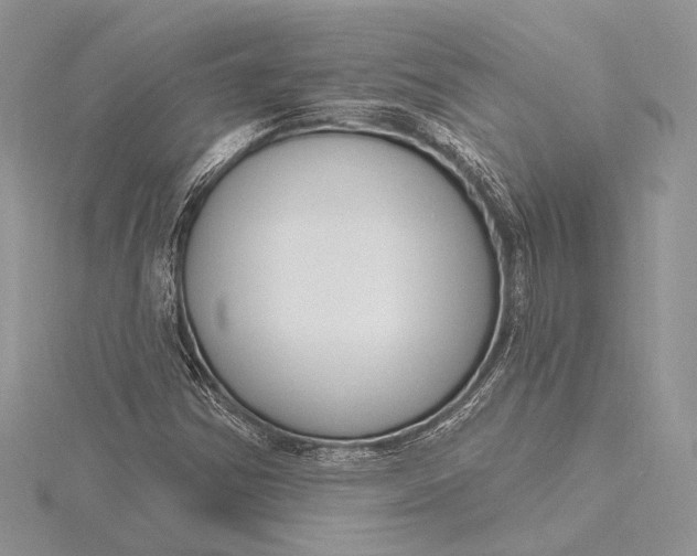 X0000115811354200912041558