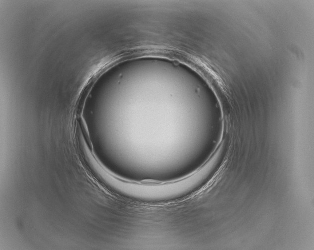 X0000115811357200912041558