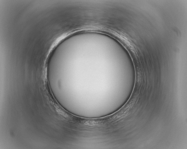 X0000115811366200912041558