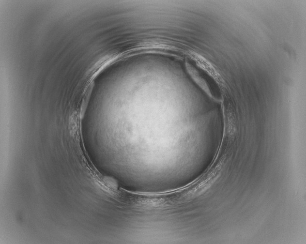 X0000115811369200912041558
