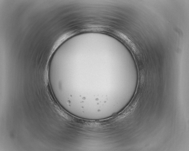 X0000115811370200912041557