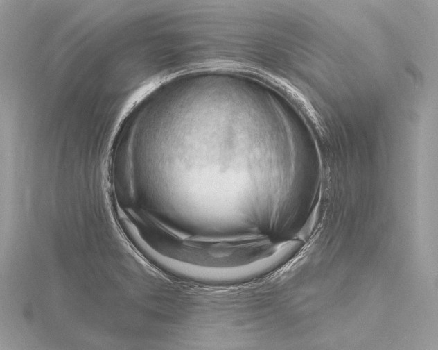 X0000115811373200912041557