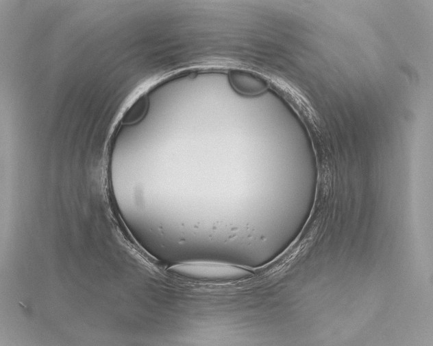 X0000115811374200912041557