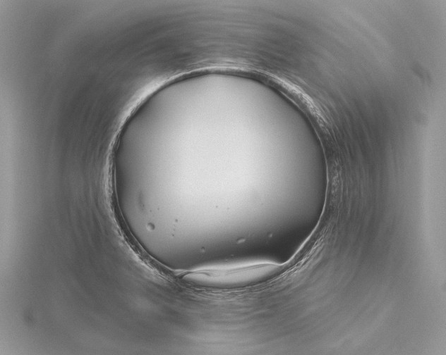 X0000115811375200912041557