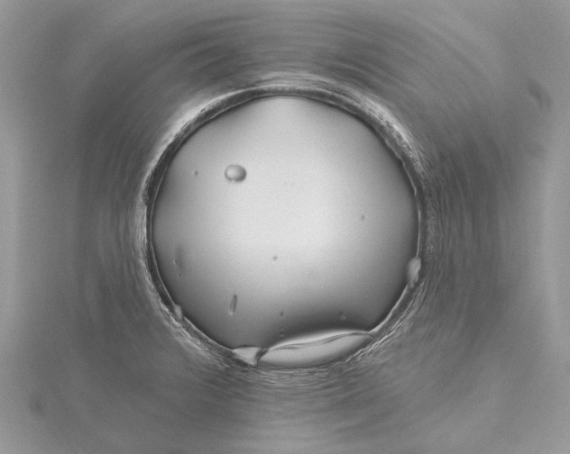 X0000115811376200912041557