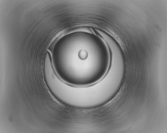 X0000115811377200912041557