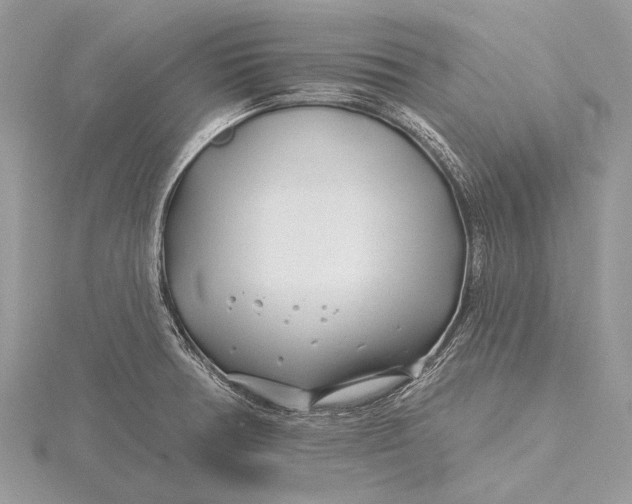 X0000115811378200912041557