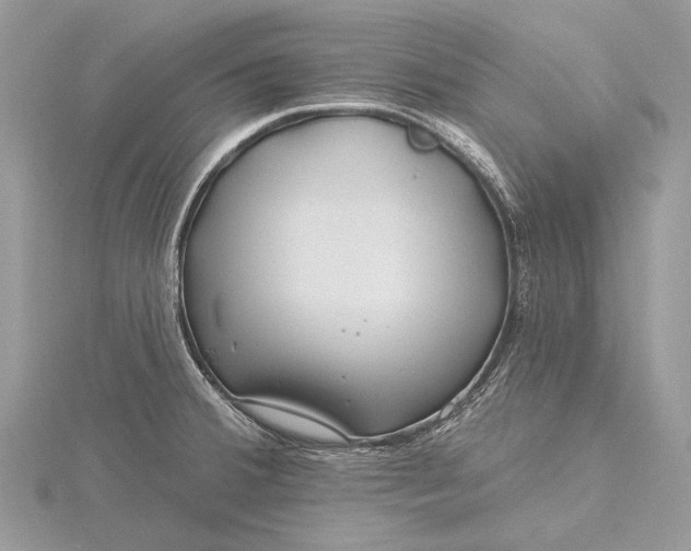 X0000115811380200912041557