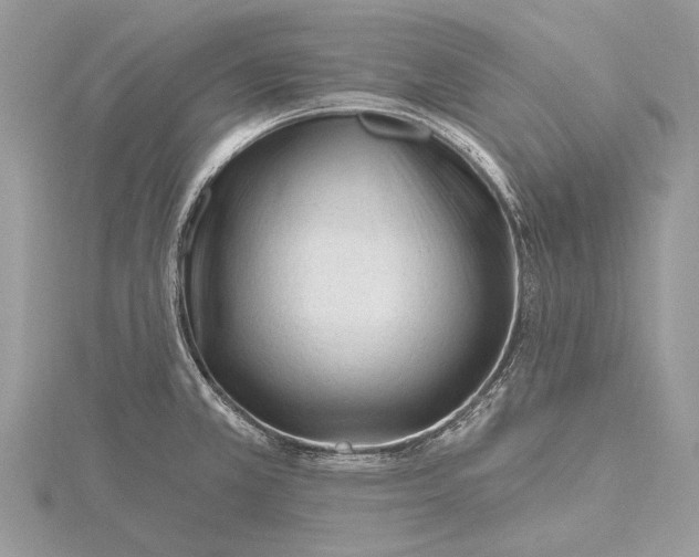 X0000115811381200912041557