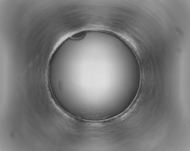 X0000115811382200912041557