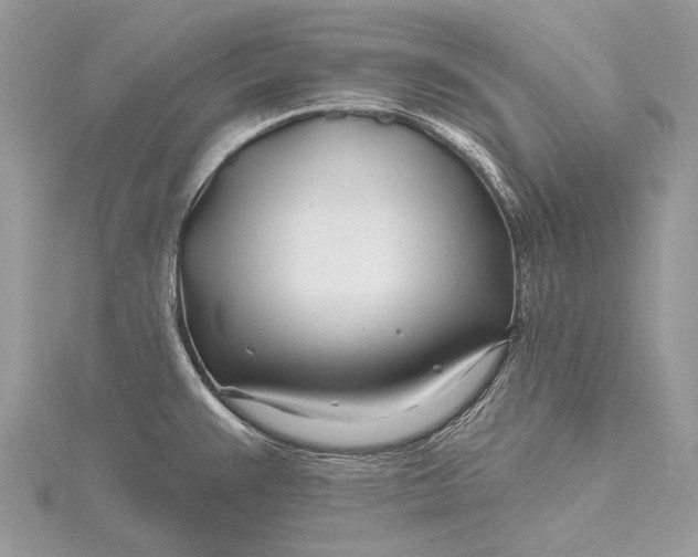 X0000115811383200912041557