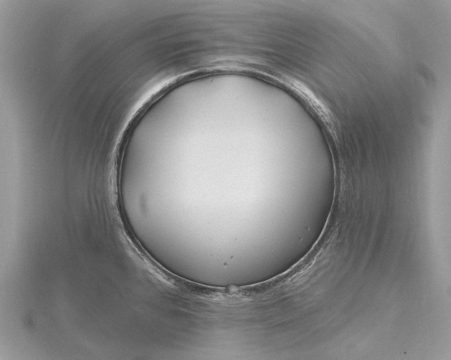 X0000115811384200912041557