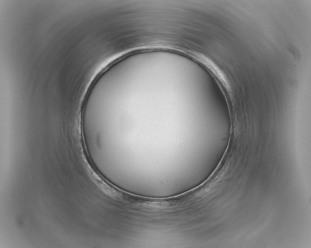 X0000115811388200912041557