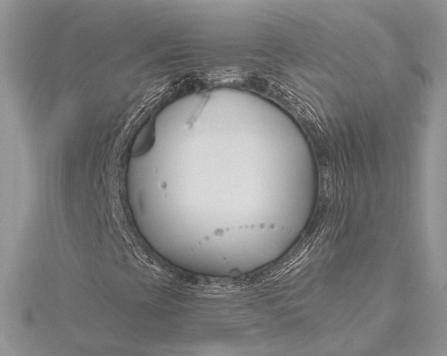 X0000115811393200912041557