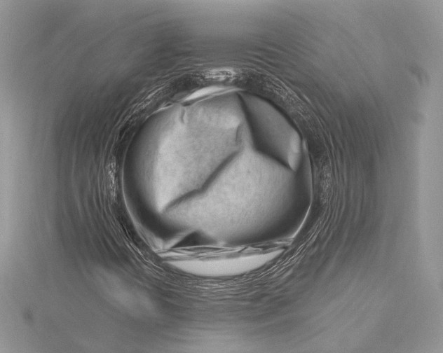 X0000115811394200912041557