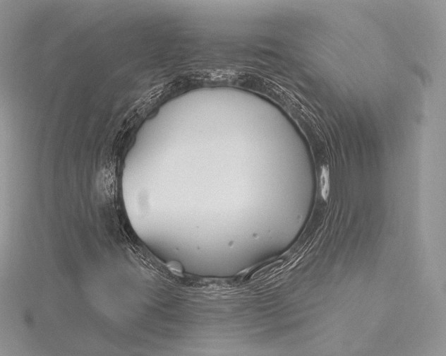 X0000115811395200912041557