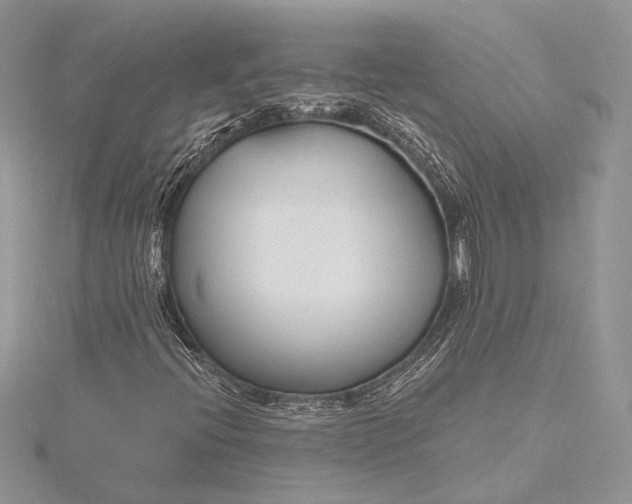 X0000115811396200912041557