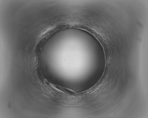 X0000115811398200912041557