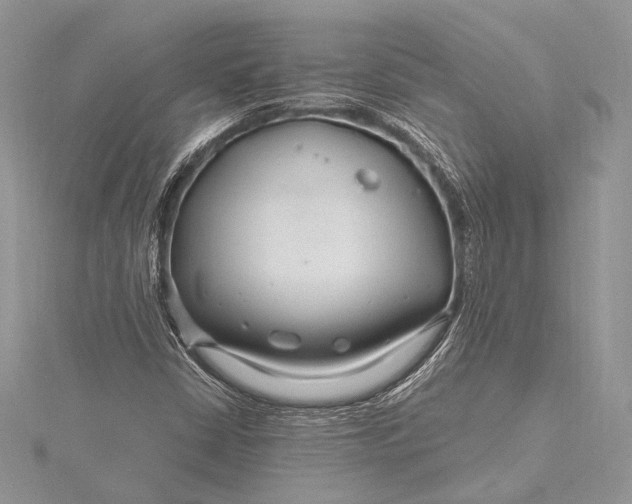 X0000115811402200912041557