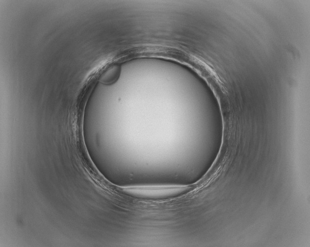 X0000115811403200912041557