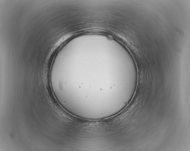 X0000115811410200912041557