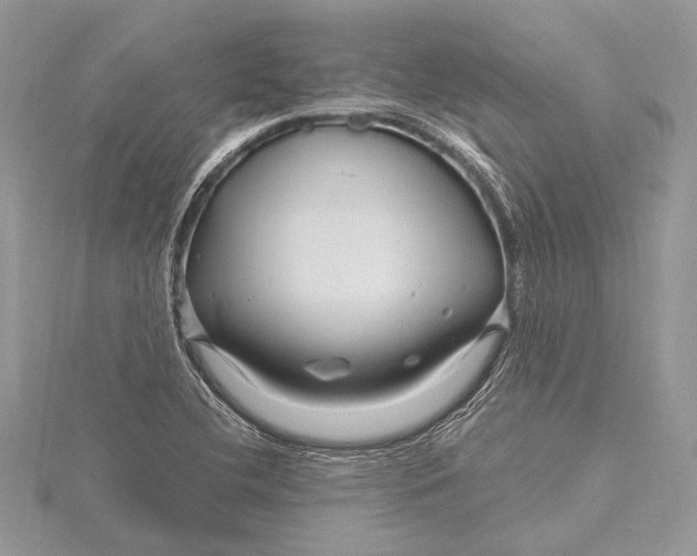 X0000115811412200912041557