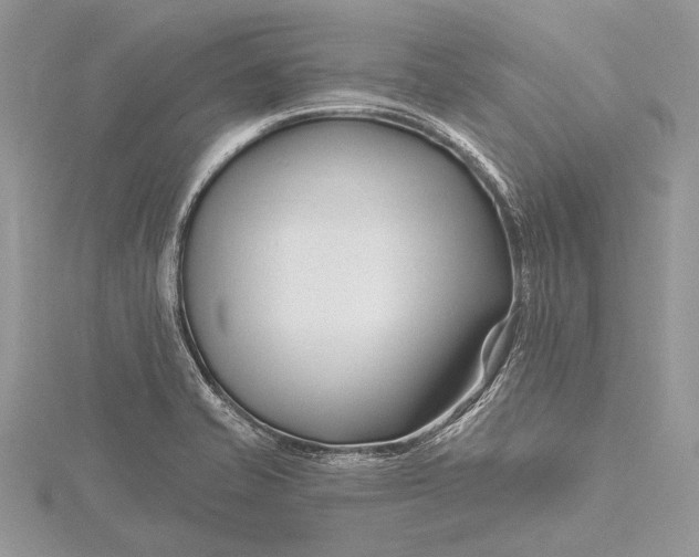 X0000115811421200912041557