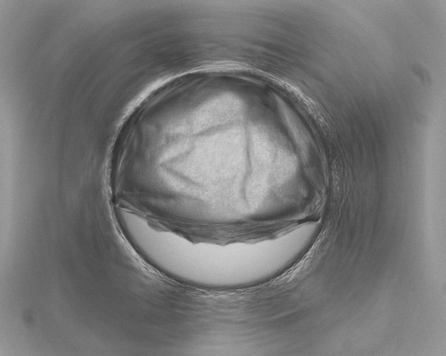 X0000115811422200912041557