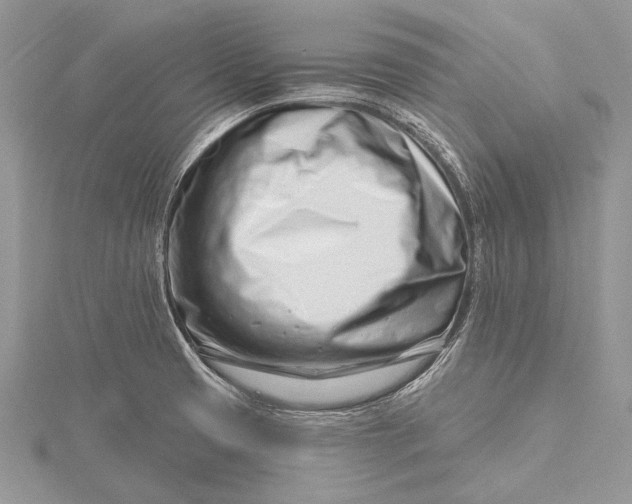X0000115811425200912041557
