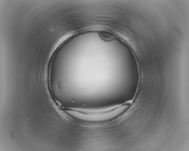 X0000115811426200912041557