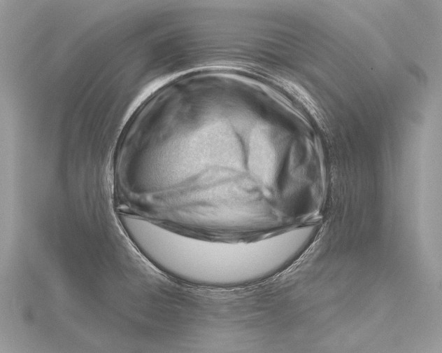 X0000115811428200912041557