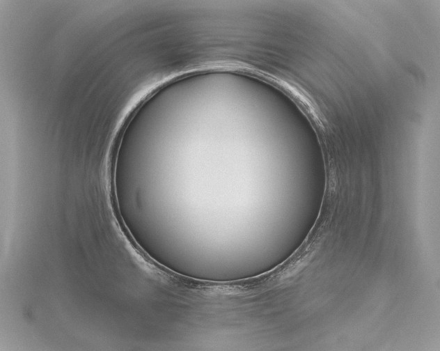 X0000115811430200912041557