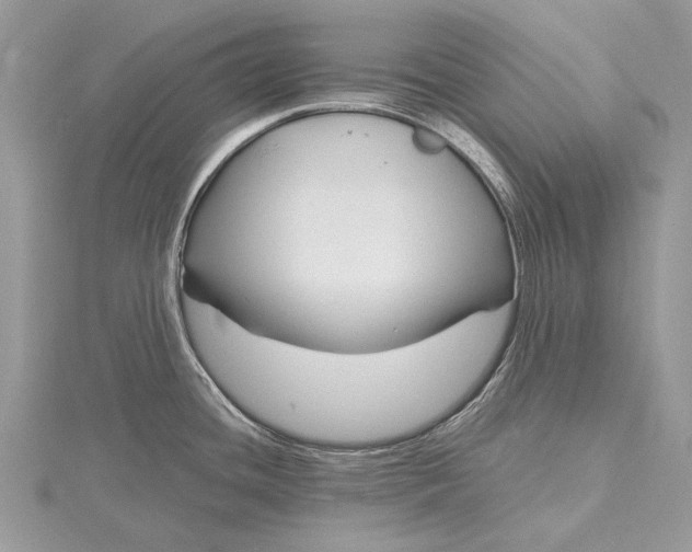 X0000115811436200912041557