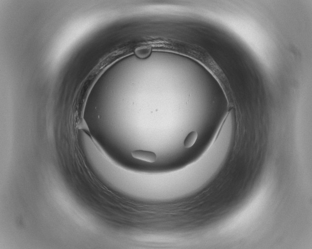 X0000115811438200912041557