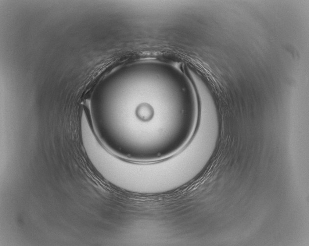 X0000115811444200912041557