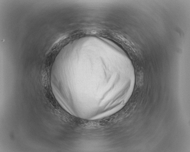 X0000115811446200912041557