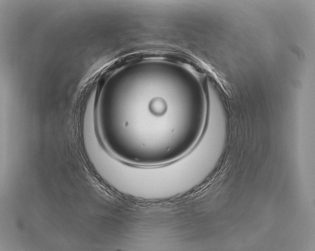 X0000115811448200912041556