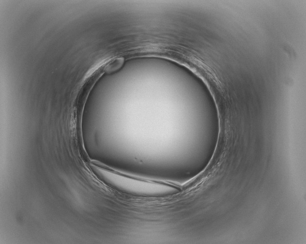 X0000115811450200912041556