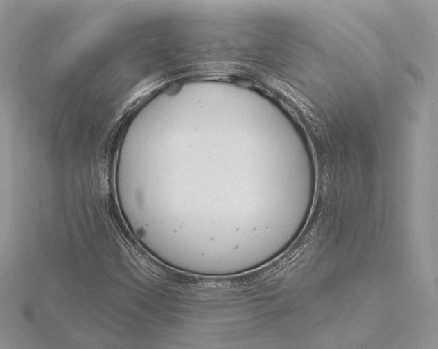 X0000115811451200912041556