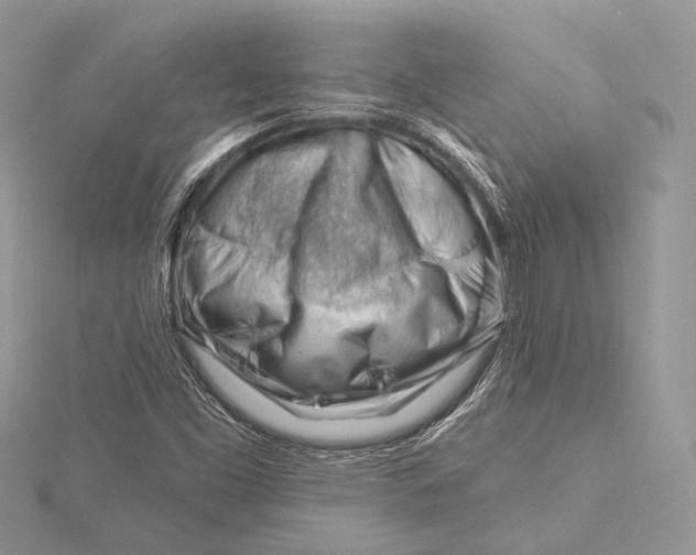 X0000115811453200912041556