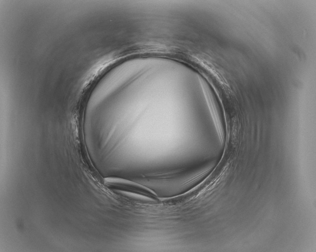 X0000115811455200912041556