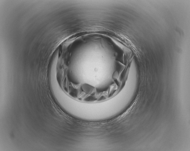 X0000115811457200912041556